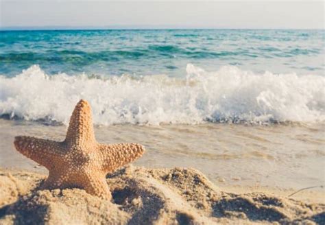 hotel dream meaning|what does a beach symbolize.